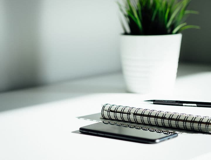 A potted plant beside a notebook and pen